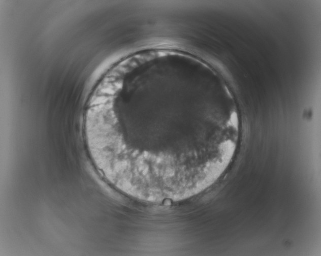 X0000113061424200910091132