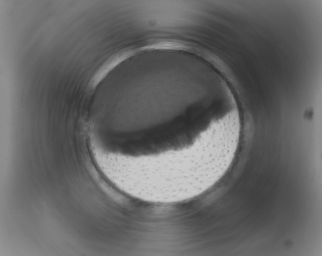 X0000113061425200910091132