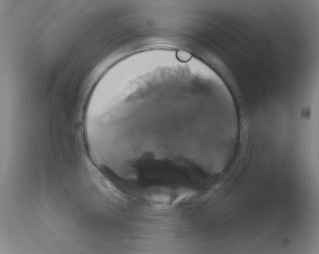 X0000113061427200910091132