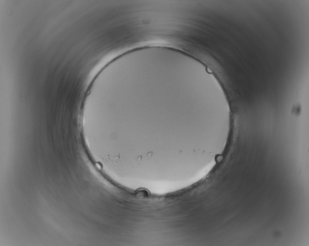 X0000113061428200910091132
