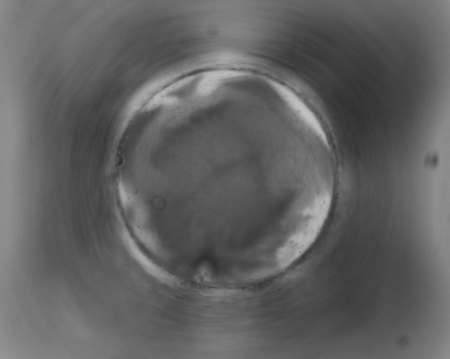 X0000113061429200910091132
