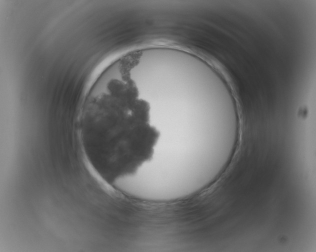X0000113061432200910091132
