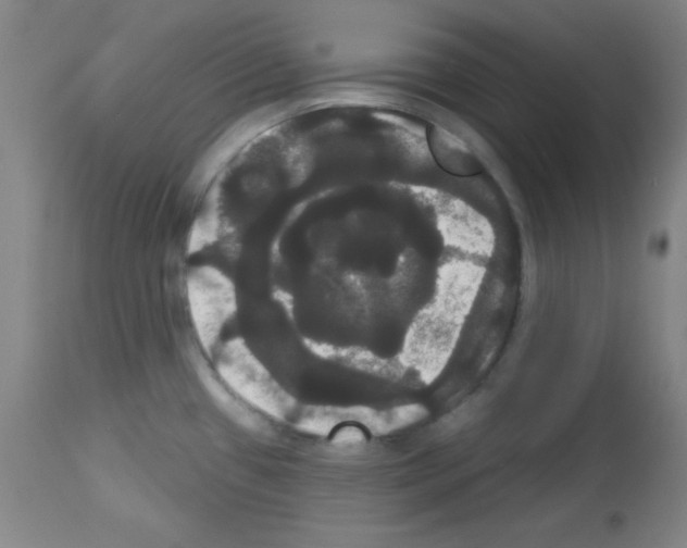 X0000113061433200910091132