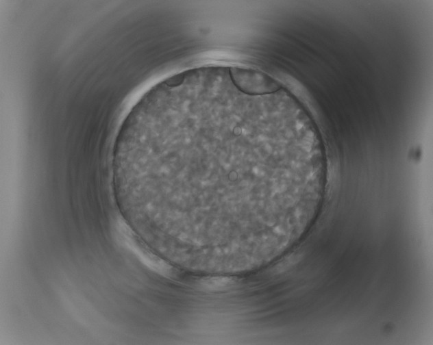 X0000113061435200910091132