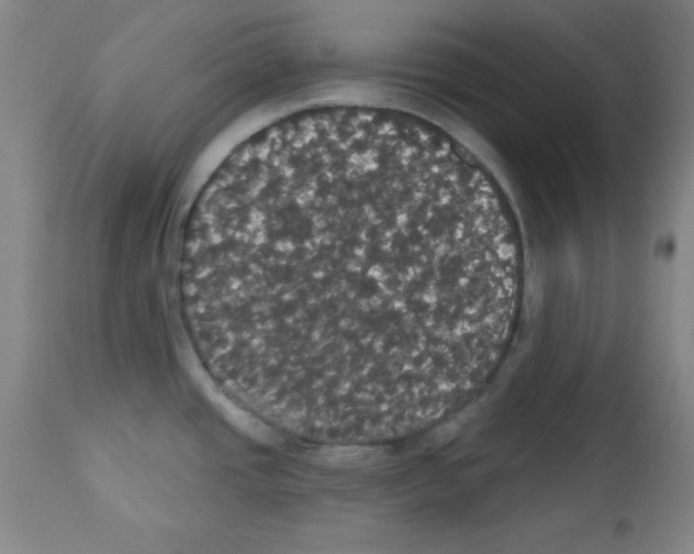 X0000113061437200910091132