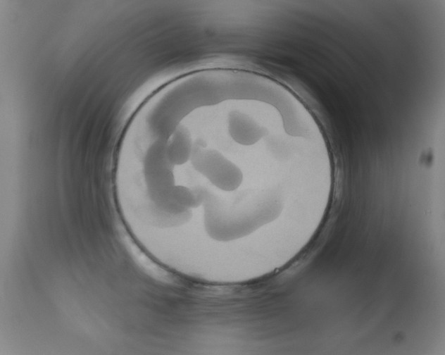 X0000113061438200910091132