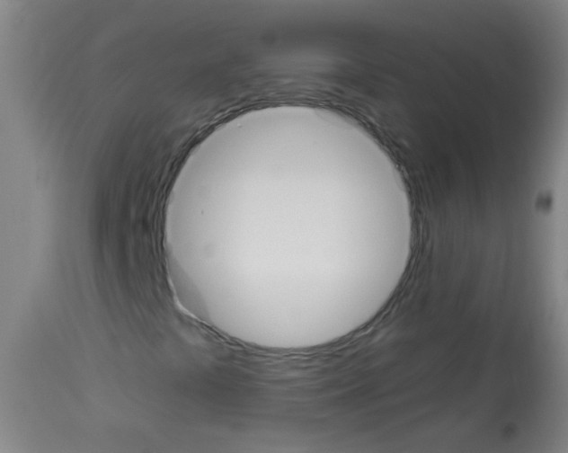 X0000113061441200910091131