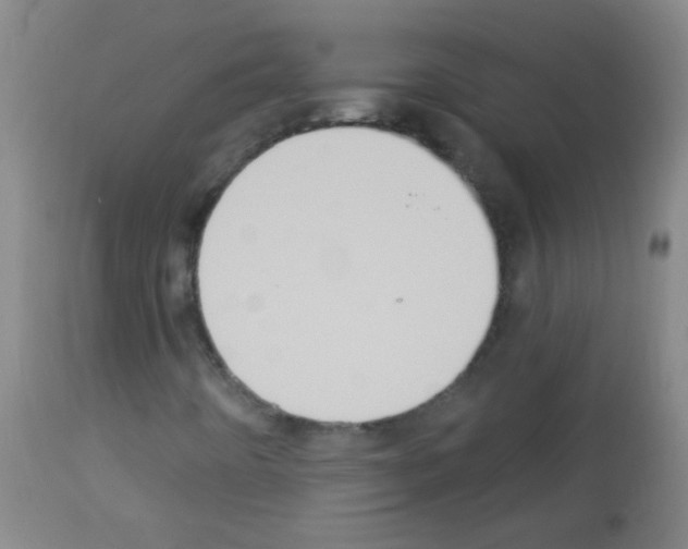 X0000113061442200910091131