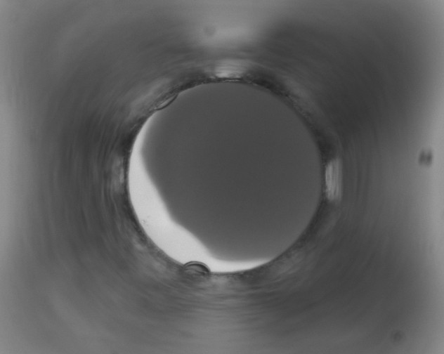 X0000113061443200910091131