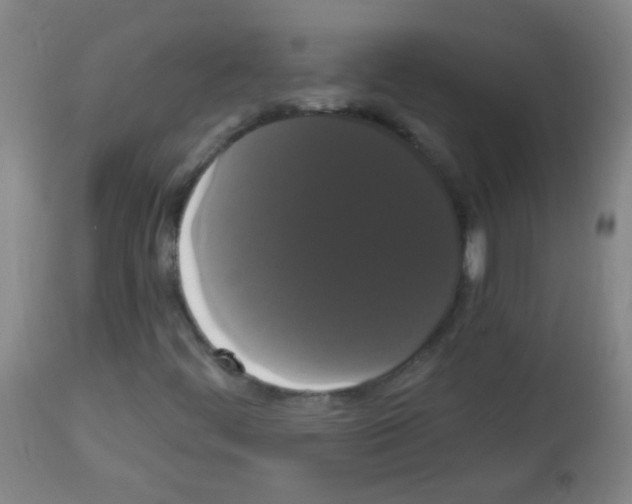 X0000113061444200910091131