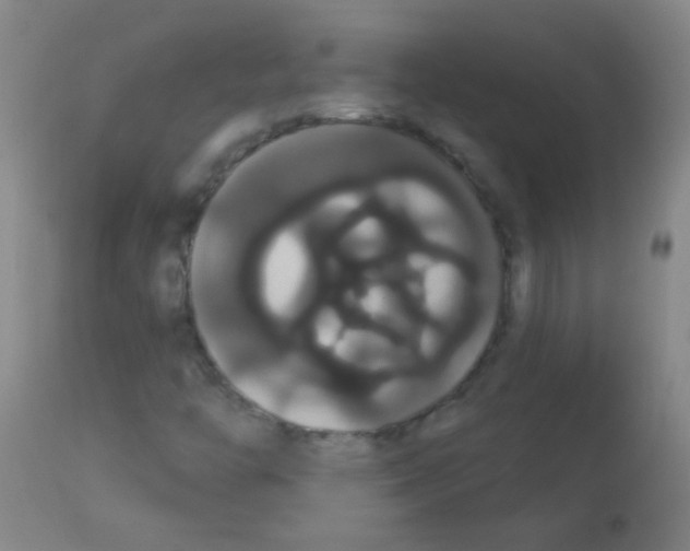 X0000113061446200910091131