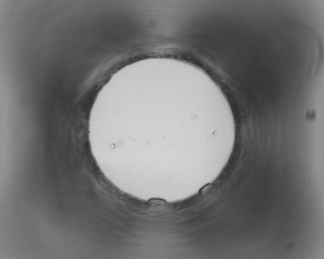 X0000113061447200910091131