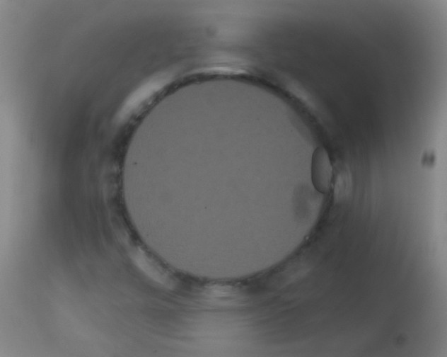 X0000113061448200910091131