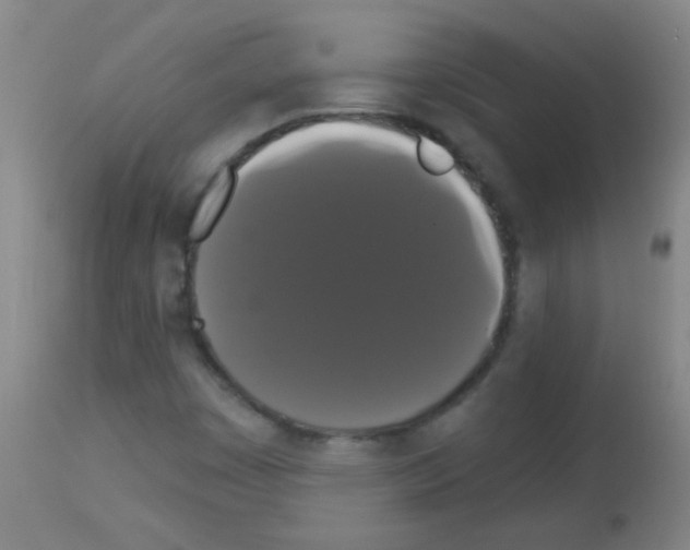 X0000113061449200910091131
