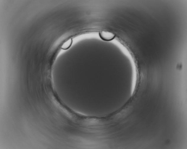 X0000113061450200910091131