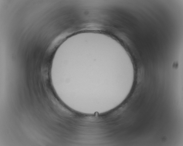 X0000113061451200910091131