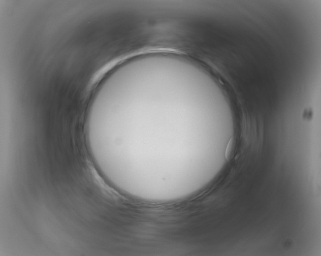 X0000113061452200910091131