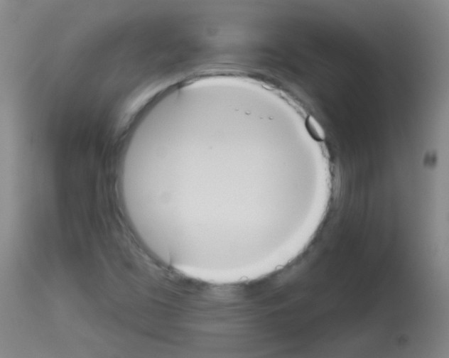 X0000113061453200910091131