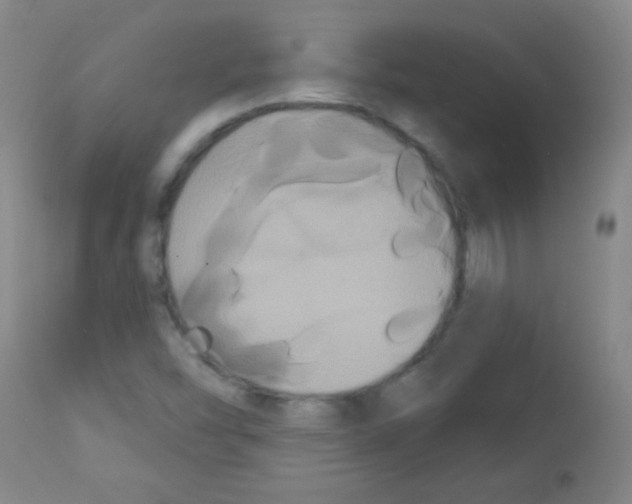 X0000113061454200910091131