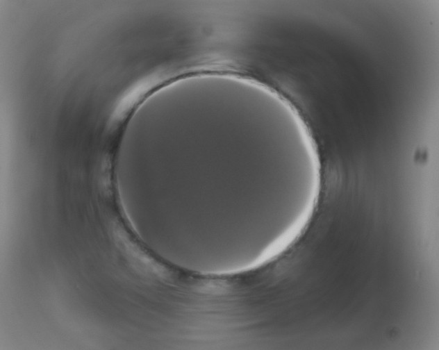 X0000113061455200910091131