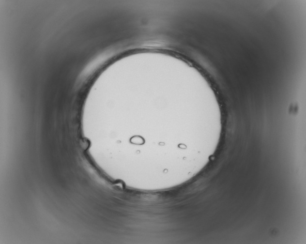 X0000113061456200910091131