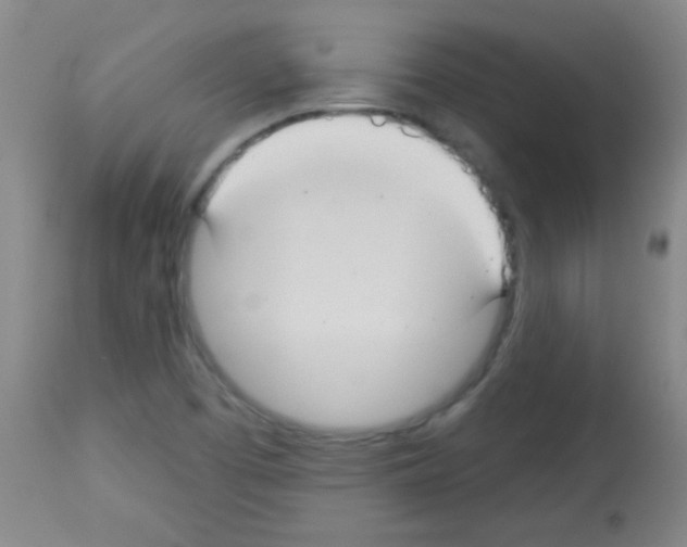 X0000113061457200910091131