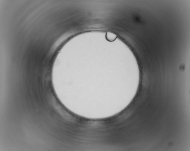 X0000113061458200910091131