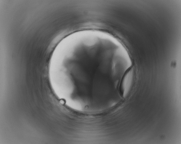 X0000113061459200910091131