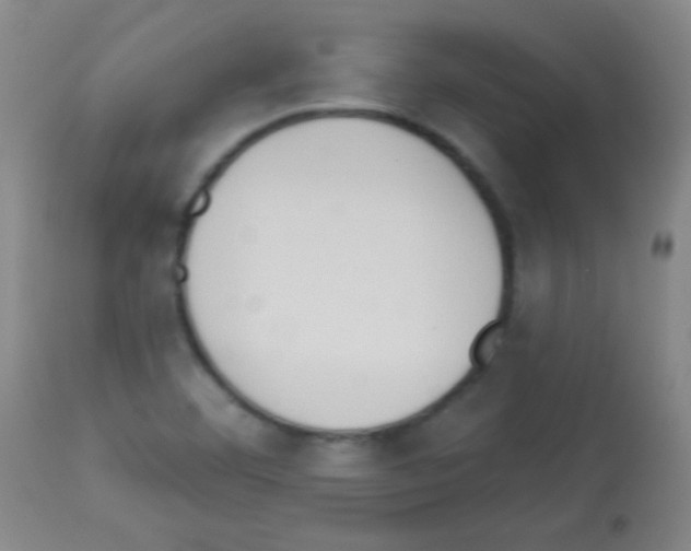 X0000113061460200910091131