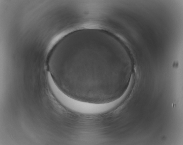 X0000113061461200910091131