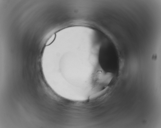 X0000113061463200910091131