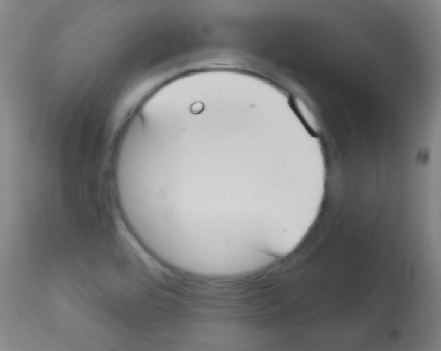 X0000113061464200910091131