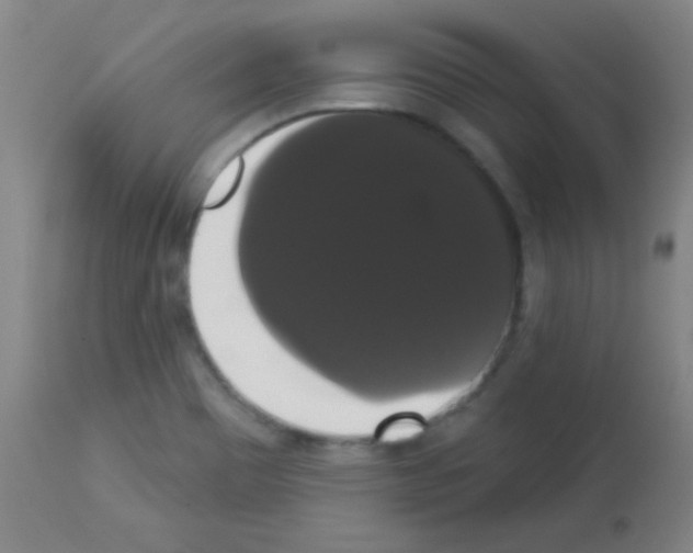 X0000113061465200910091131