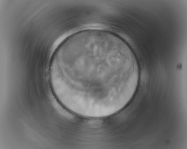X0000113061466200910091131