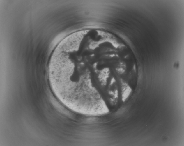 X0000113061467200910091131