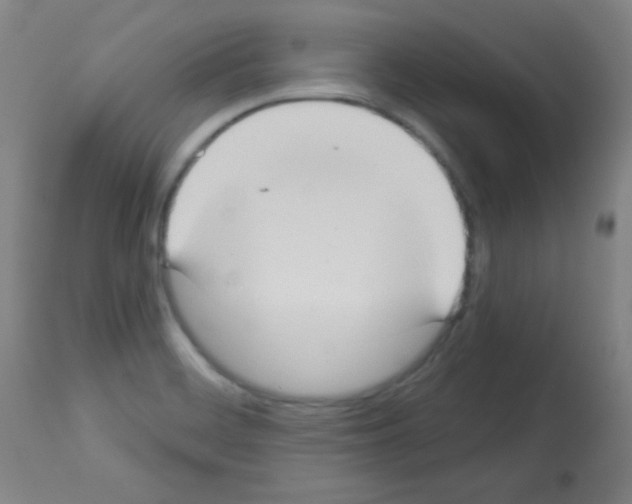 X0000113061468200910091131