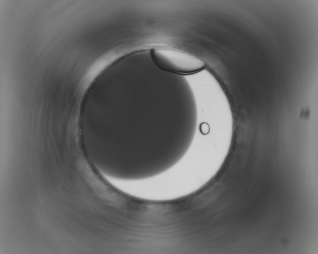 X0000113061469200910091131
