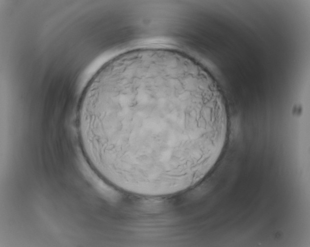 X0000113061470200910091131