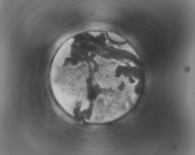 X0000113061471200910091131