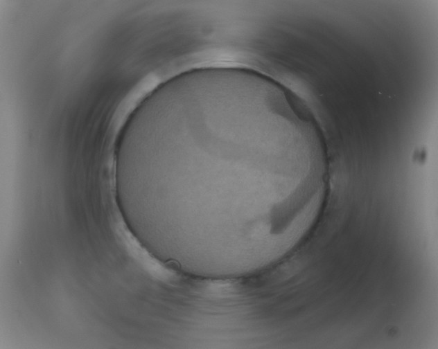 X0000113061472200910091131
