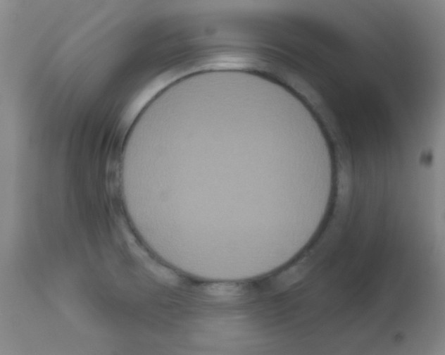 X0000113061473200910091131