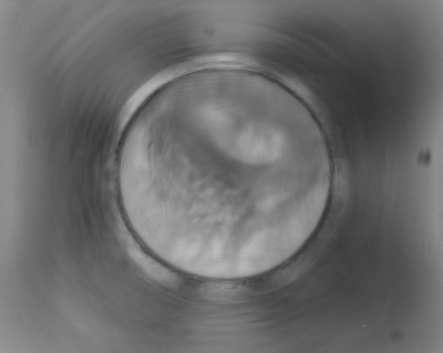 X0000113061474200910091131