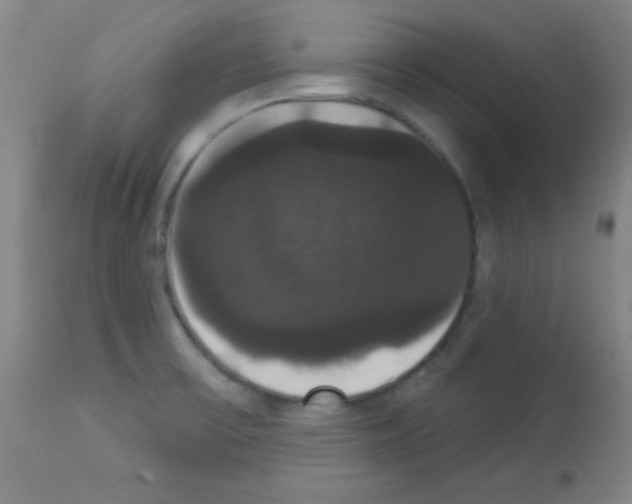 X0000113061475200910091131