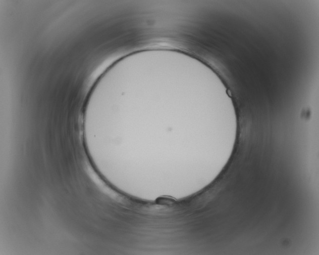 X0000113061476200910091131