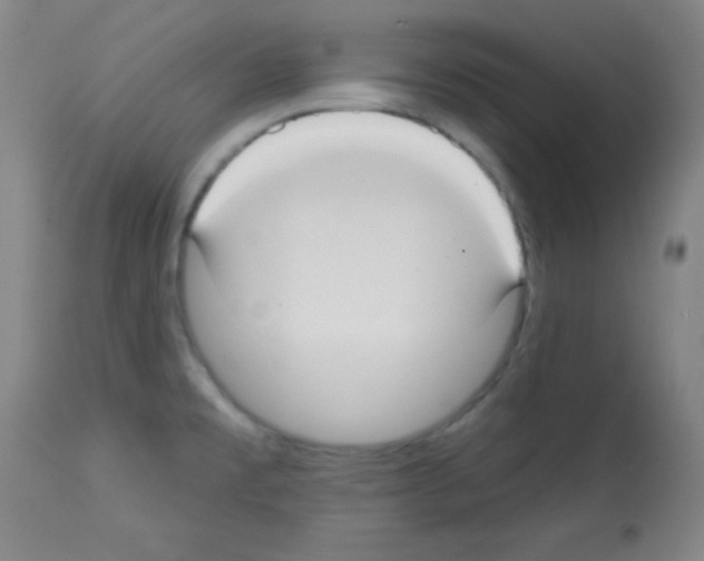X0000113061477200910091131