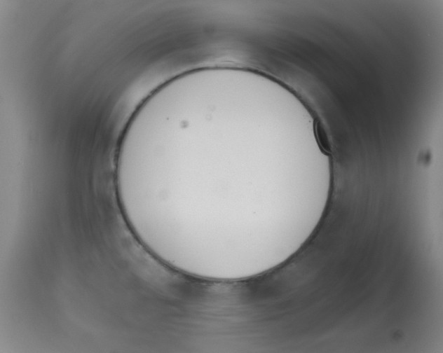 X0000113061480200910091131