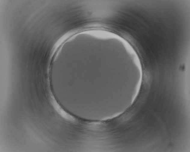 X0000113061482200910091131