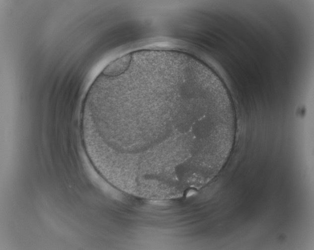 X0000113061483200910091131