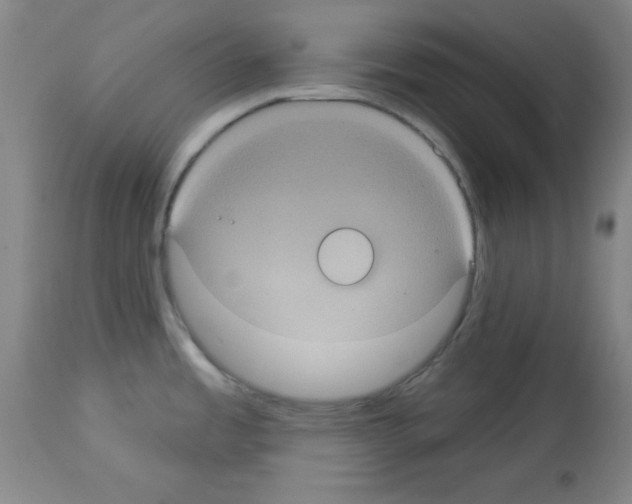 X0000113061485200910091131