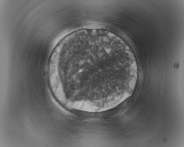 X0000113061487200910091131